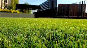 Close-up of bright green artificial grass with bokeh effect and blurred modern buildings in the background.
