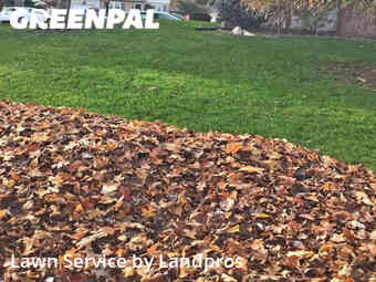 Yard Mowing nearby Chicago, IL, 