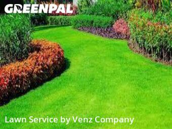 Lawn Cutting in Sparks, 89437, Yard Cutting by Venz Company, work completed in  1 Jun, 2026 