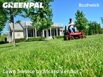 Lawn Mow nearby Brooklyn, NY, 