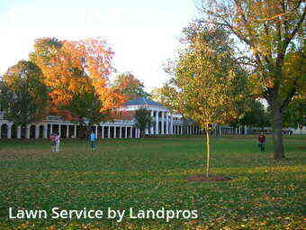 Grass Cutting nearby Chicago, IL, 