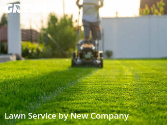 Lawn Care nearby Los Angeles, CA, 