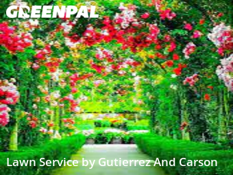 Lawn Carein Denver,80221,Lawn Mowing by Gutierrez And Gut, work completed in Dec , 2025