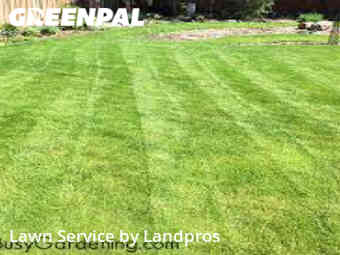 Lawn Care Service nearby Chicago, IL, 