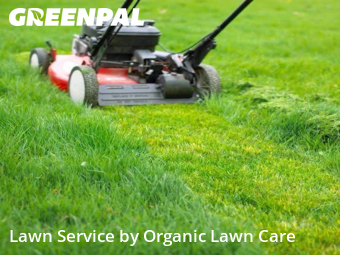 Yard Mowing nearby Memphis, IL, 