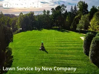 Lawn Maintenance nearby Los Angeles, CA, 
