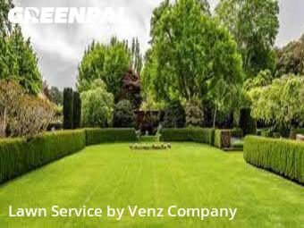 Lawn Service in Sparks, 89434, Grass Cut by Venz Company, work completed in  7 Jul, 2026 