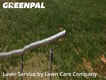 Lawn Cutting in Chicago, 60612, Lawn Mowing by Lawn Care Company, work completed in 23 Jan, 2026 
