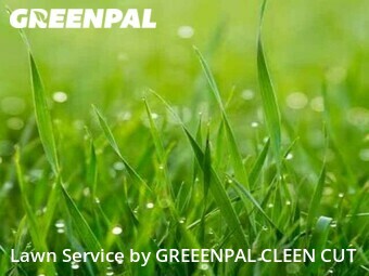 Lawn Mow nearby Costa Mesa, CA, 