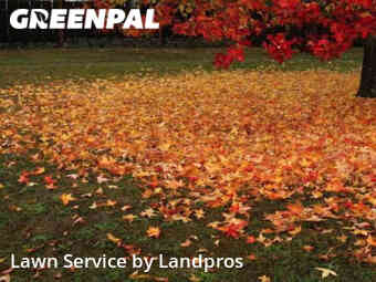 Lawn Cut nearby Chicago, IL, 