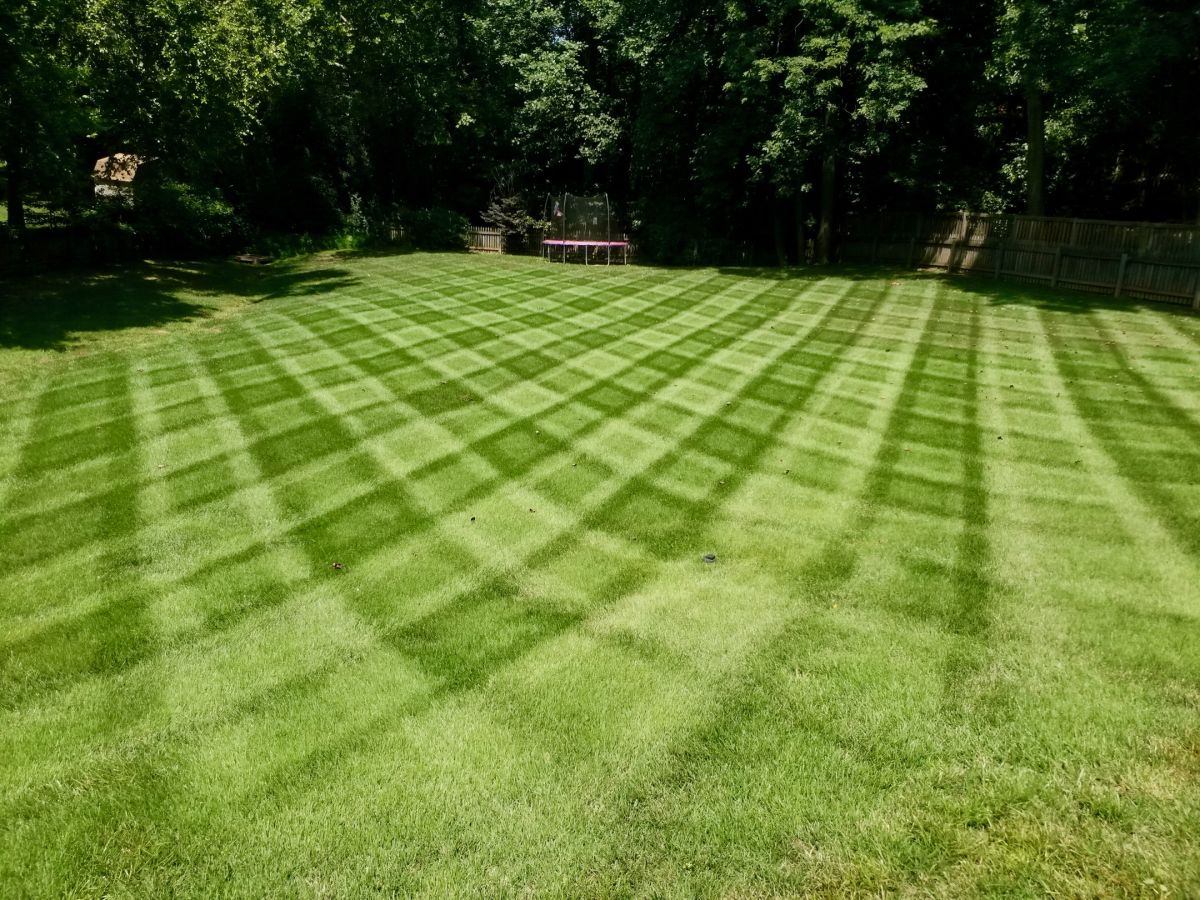 The Secrets to a Well Fed Green Lawn- 3 Steps for Proper Lawn Fertilization By Greenpal