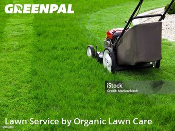 Grass Cutting nearby Secaucus, IL, 