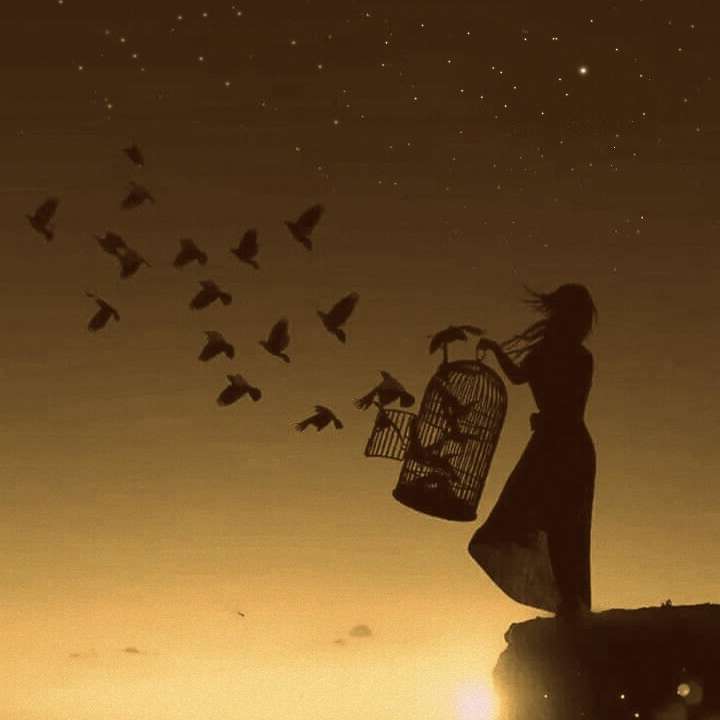  Best Flowers for a Cutting Garden (Just Article)