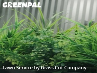 Grass Cut nearby Quakertown, PA, 