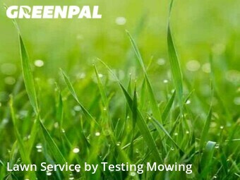 Lawn Care Service nearby Boston, MA, 