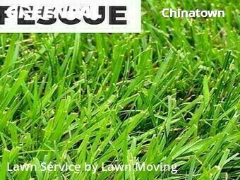 Grass Cut nearby Boston, MA, 