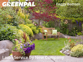 Landscaping Services In Washington D.C.,20037,Landscaping Installation by New Company, work completed in Dec , 2025