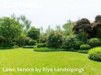 Grass Cuttingin Chicago,60611,Grass Cut by Riya Landscpings, work completed in Dec , 2025