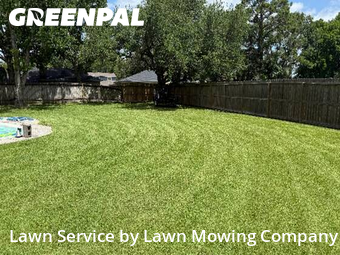 Yard Cuttingin Dallas,75203,Lawn Mowing Service by Lawn Mowing Company, work completed in May , 2026