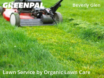 Grass Cut nearby Beverly Hills, IL, 