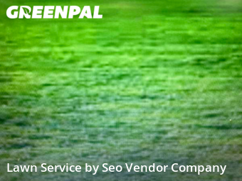 Lawn Cut nearby Burlington, MA, 