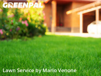 Lawn Mow nearby Keene, NH, 