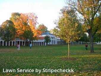 Yard Cutting nearby Chicago, IL, 