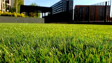 Close-up of bright green artificial grass with bokeh effect and blurred modern buildings in the background.