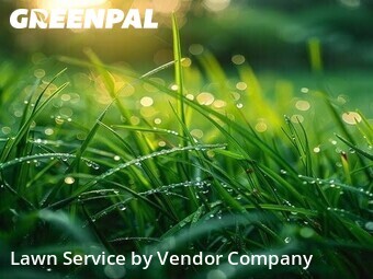 Grass Cut nearby Sparks, NV, 
