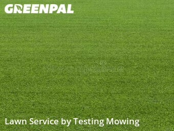 Grass Cut nearby Boston, MA, 