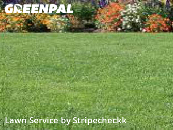 Lawn Care Service nearby Chicago, IL, 