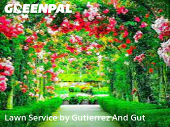 Lawn Care Servicein Denver,80221,Grass Cut by Gutierrez And Gut, work completed in Dec , 2025