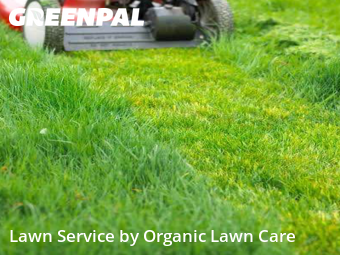 Lawn Mowing Service nearby Nashville, IL, 