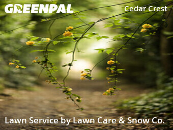 Lawn Care Servicein Dallas,75216,Yard Mowing by Lawn Care & Snow Co., work completed in Dec , 2025