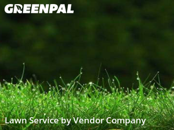 Lawn Maintenance in Sparks, 89437, Yard Cutting by Vendor Company, work completed in 19 Jan, 2026 