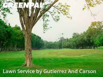 Lawn Maintenancein Denver,80221,Grass Cutting by Gutierrez And Gut, work completed in Dec , 2025