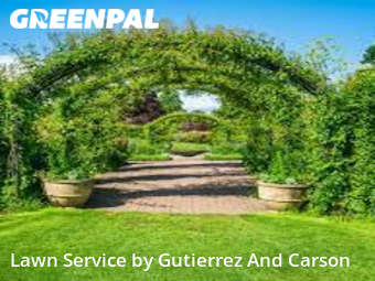 Lawn Carein Denver,80221,Lawn Cut by Gutierrez And Gut, work completed in Dec , 2025