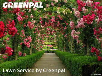 Grass Cuttingin Evanston,60202,Lawn Care Service by Creenpal, work completed in Dec , 2025