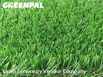 Lawn Care nearby Sparks, NV, 