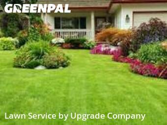 Lawn Care nearby Garden City, NY, 