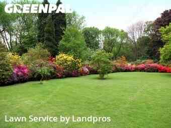 Lawn Care Service nearby Chicago, IL, 