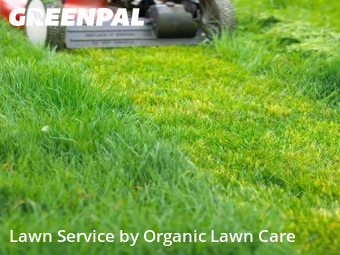 Lawn Mowing Service nearby Keenesburg, IL, 