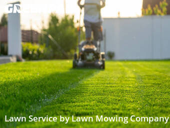 Lawn Mowing Service in Dallas, 75216, Lawn Cut by Lawn Mowing Company, work completed in 14 May, 2026 