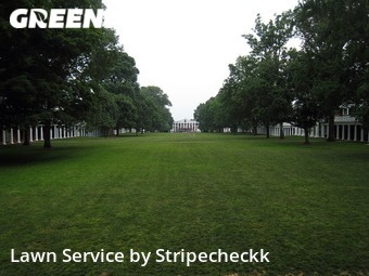 Lawn Service nearby Chicago, IL, 