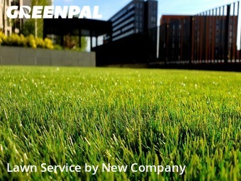 Lawn Mowing Service nearby Los Angeles, CA, 