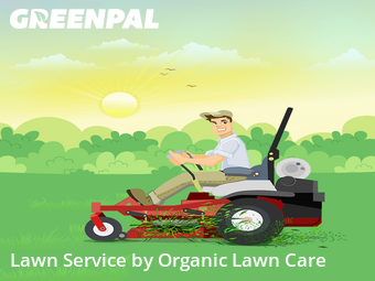 Lawn Cutting nearby Washington, IL, 