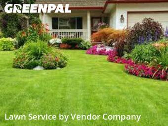 Yard Mowing in Sparks, 89437, Lawn Maintenance by Vendor Company, work completed in 20 Jan, 2026 