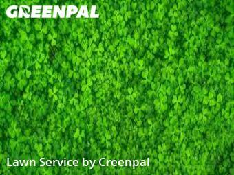 Lawn Maintenancein Evanston,60202,Lawn Care by Creenpal, work completed in Dec , 2025