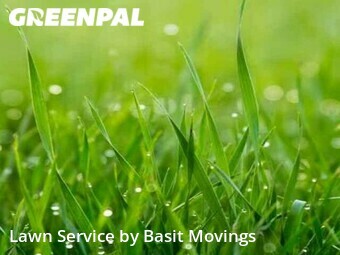 Lawn Mowing nearby Chicago, IL, 