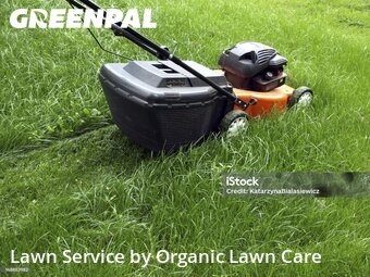 Lawn Cut nearby Excelsior Springs, IL, 